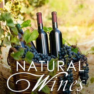 What is natural wine - Pure Wines - Organic Wines